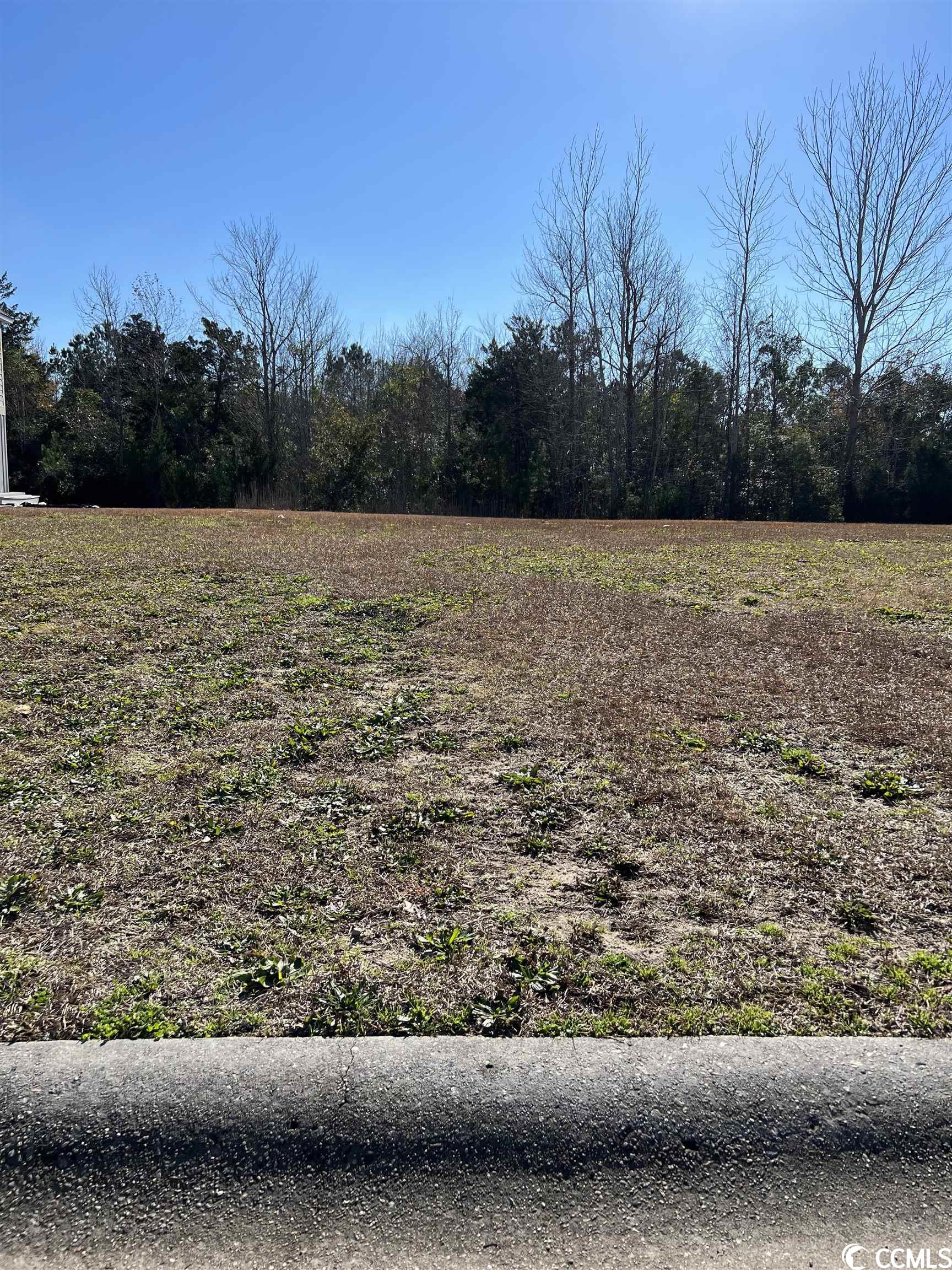 Lot 73 Palmetto Harbour Dr. Property Photo