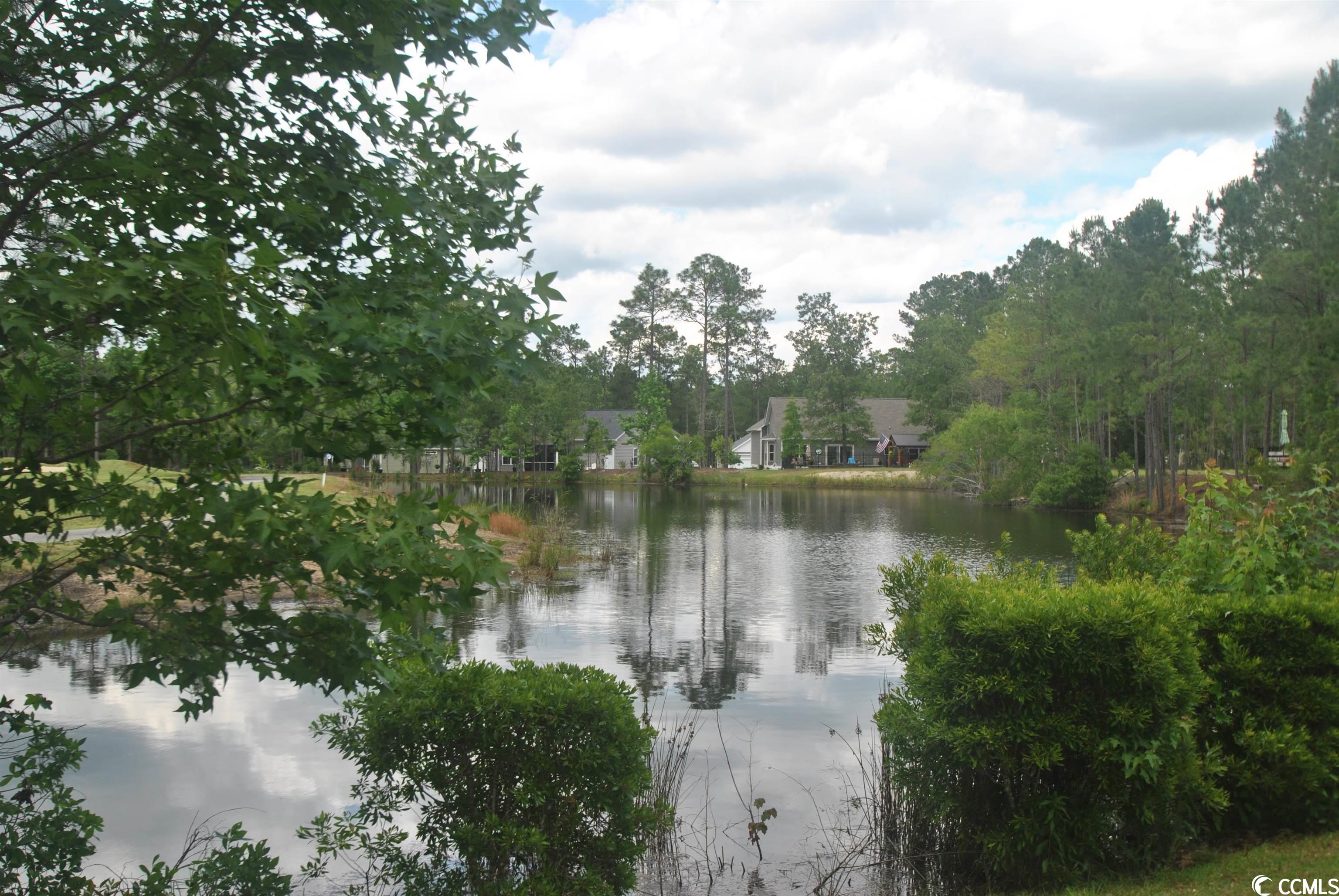 Woodland Valley Loris Real Estate Listings Main Image
