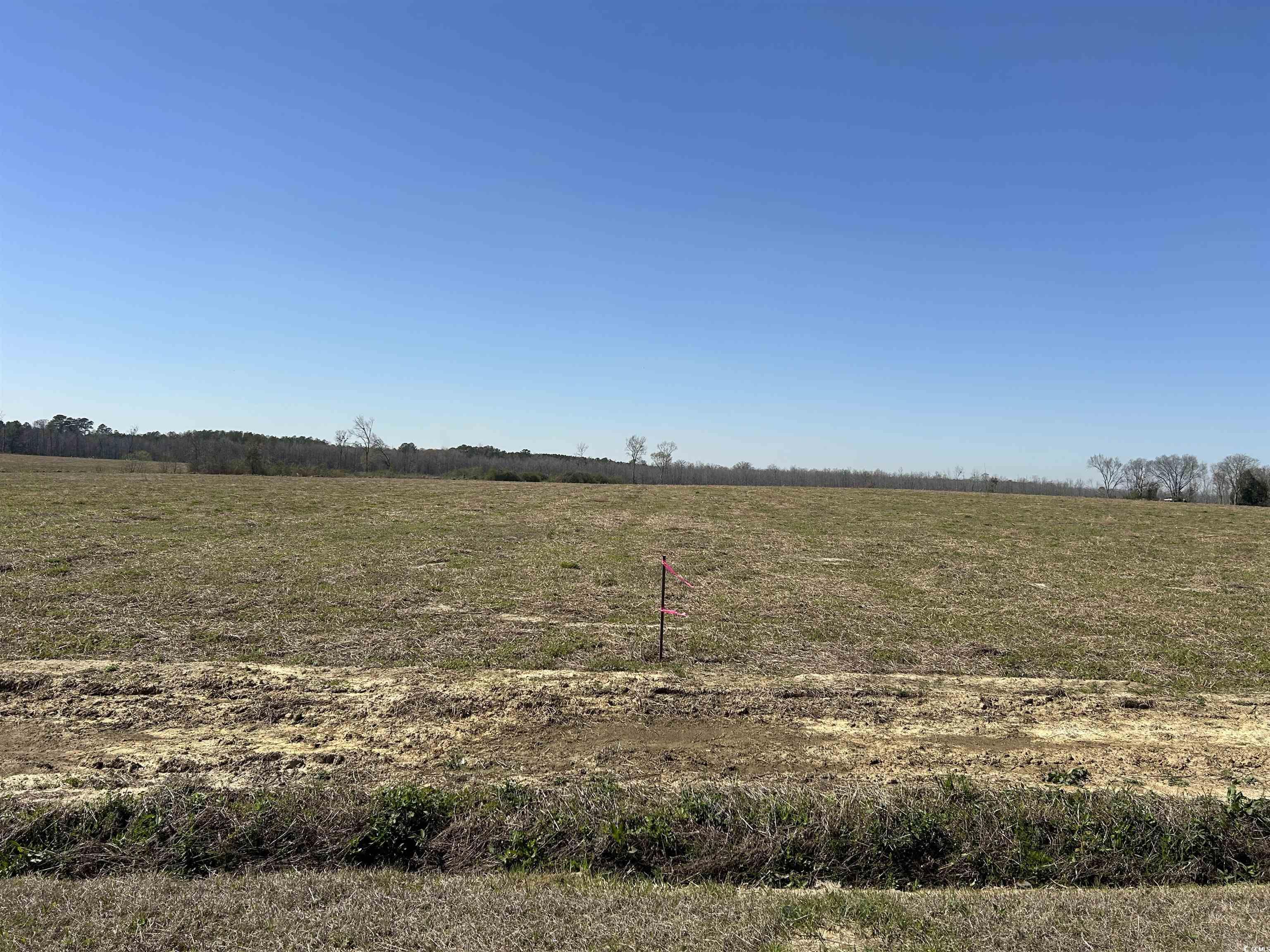 Tbd Gum Swamp Rd. Lot #3 Property Photo