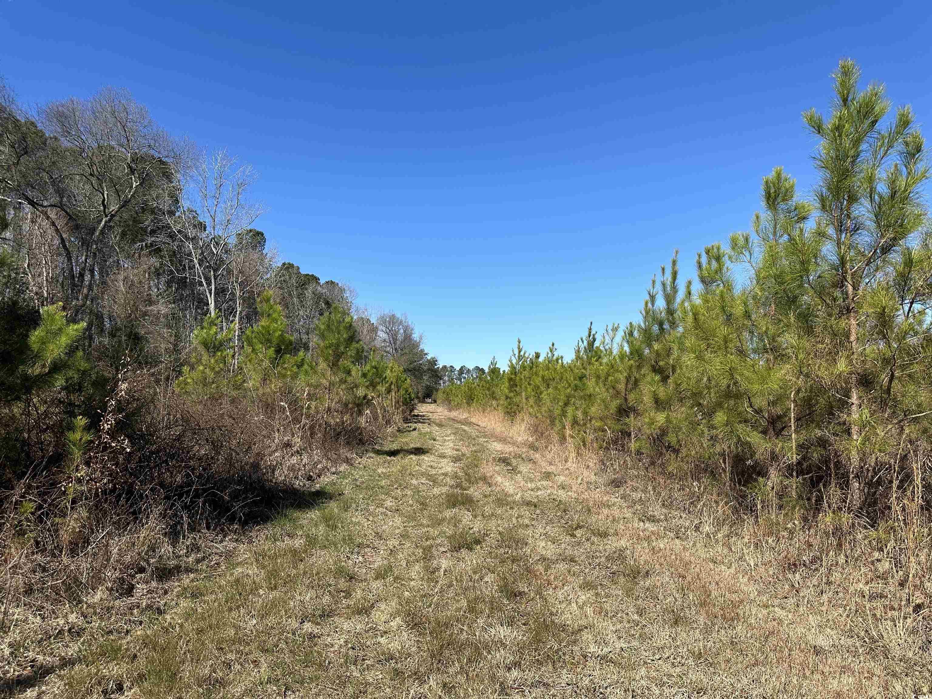 Tract A Holliman Rd. Property Photo