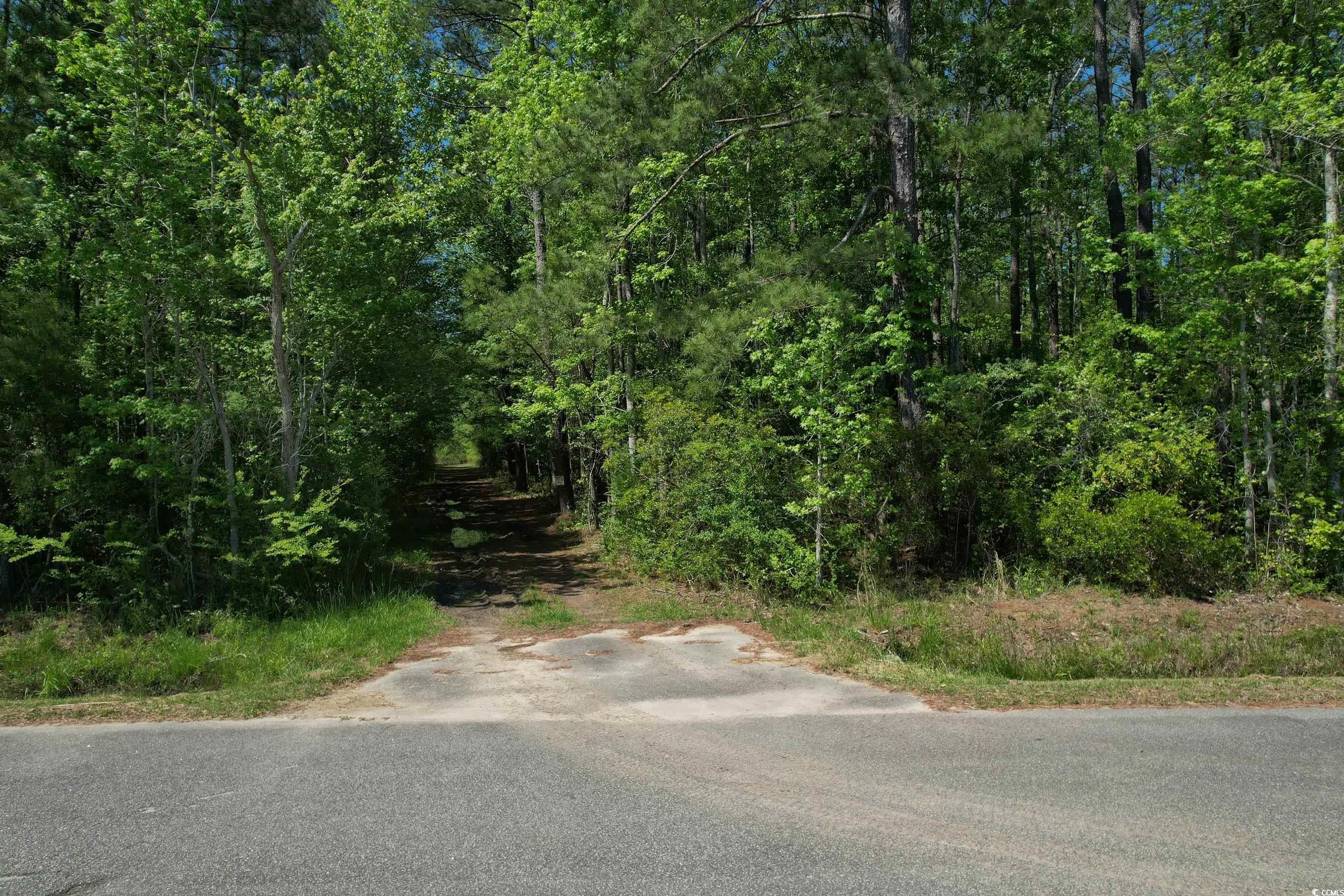 Tbd Cain Wilson Rd. Property Photo 3