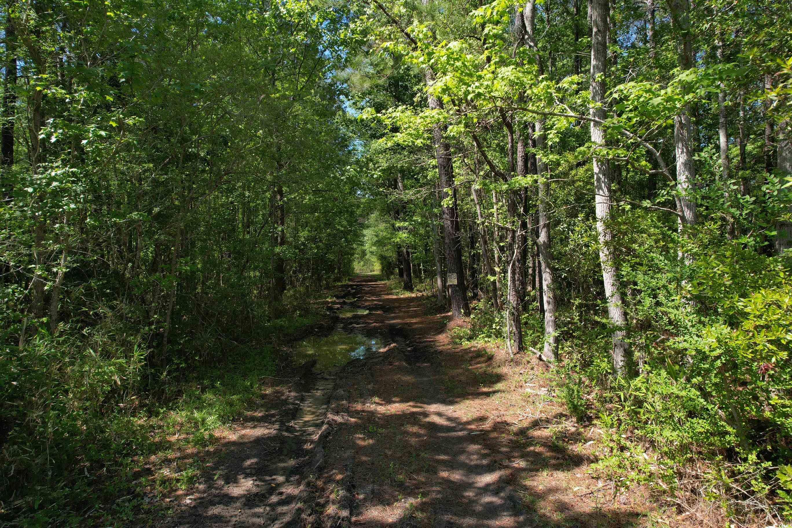 Tbd Cain Wilson Rd. Property Photo 4