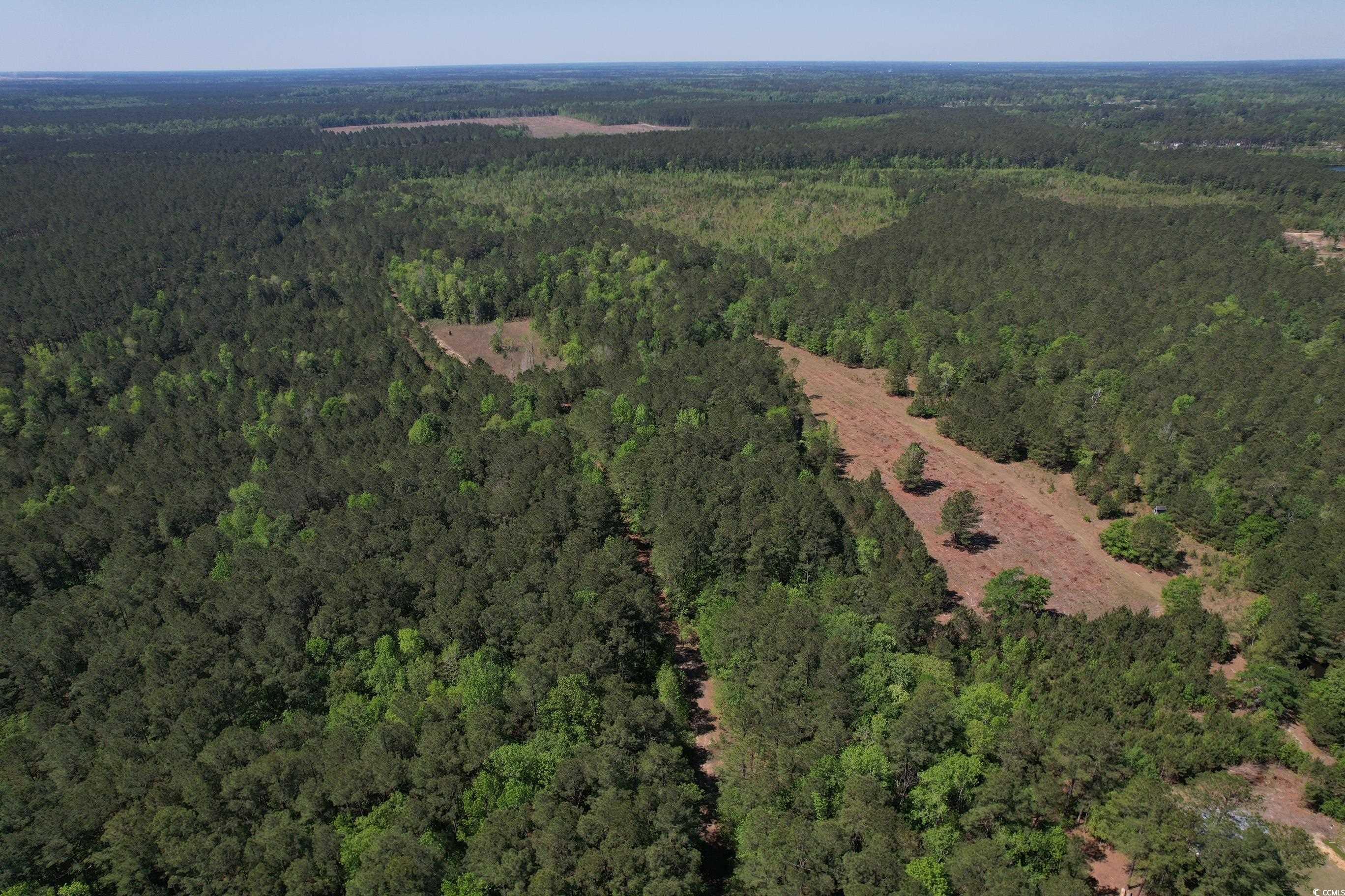 Tbd Cain Wilson Rd. Property Photo 6
