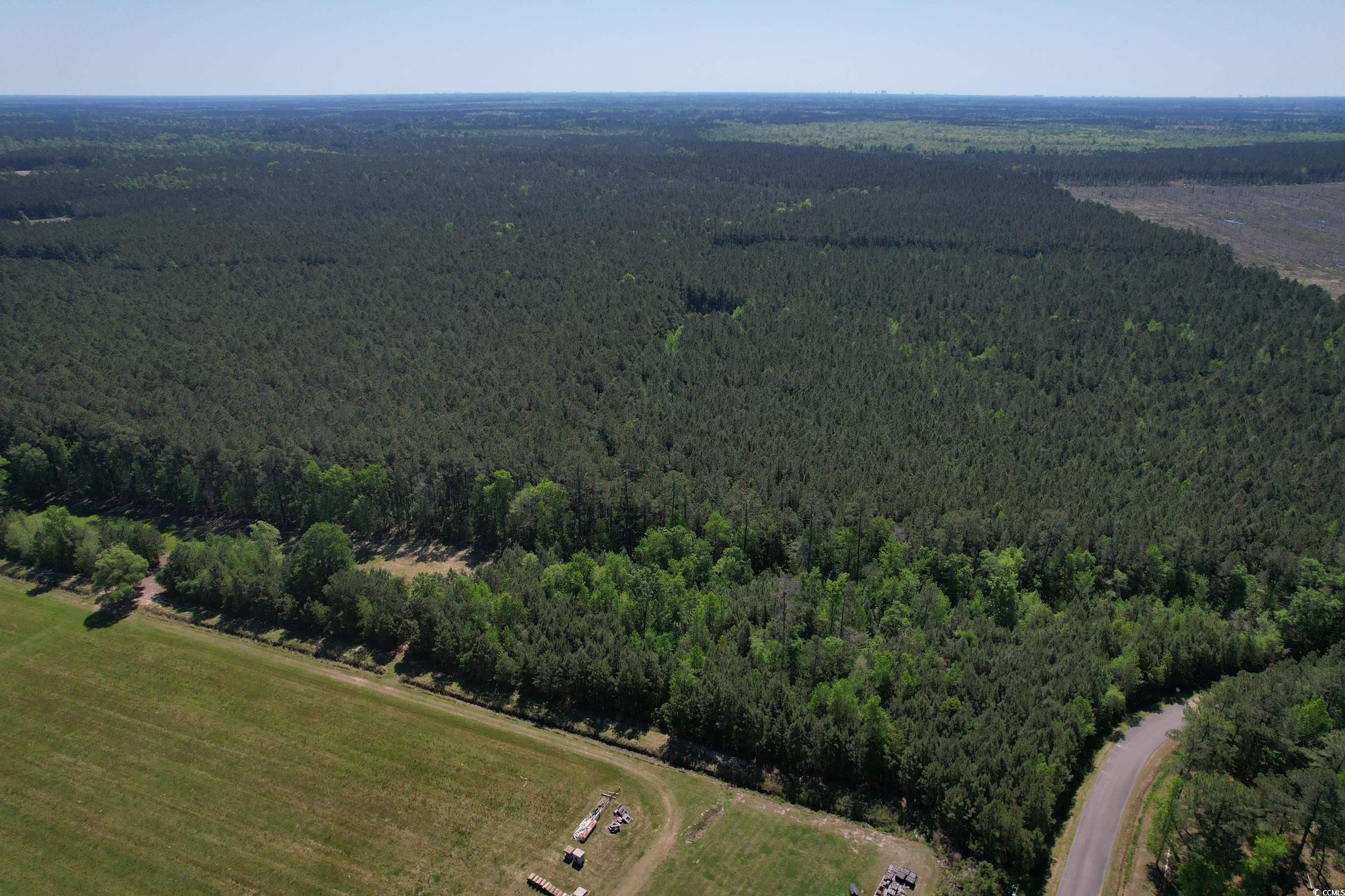 Tbd Cain Wilson Rd. Property Photo 7