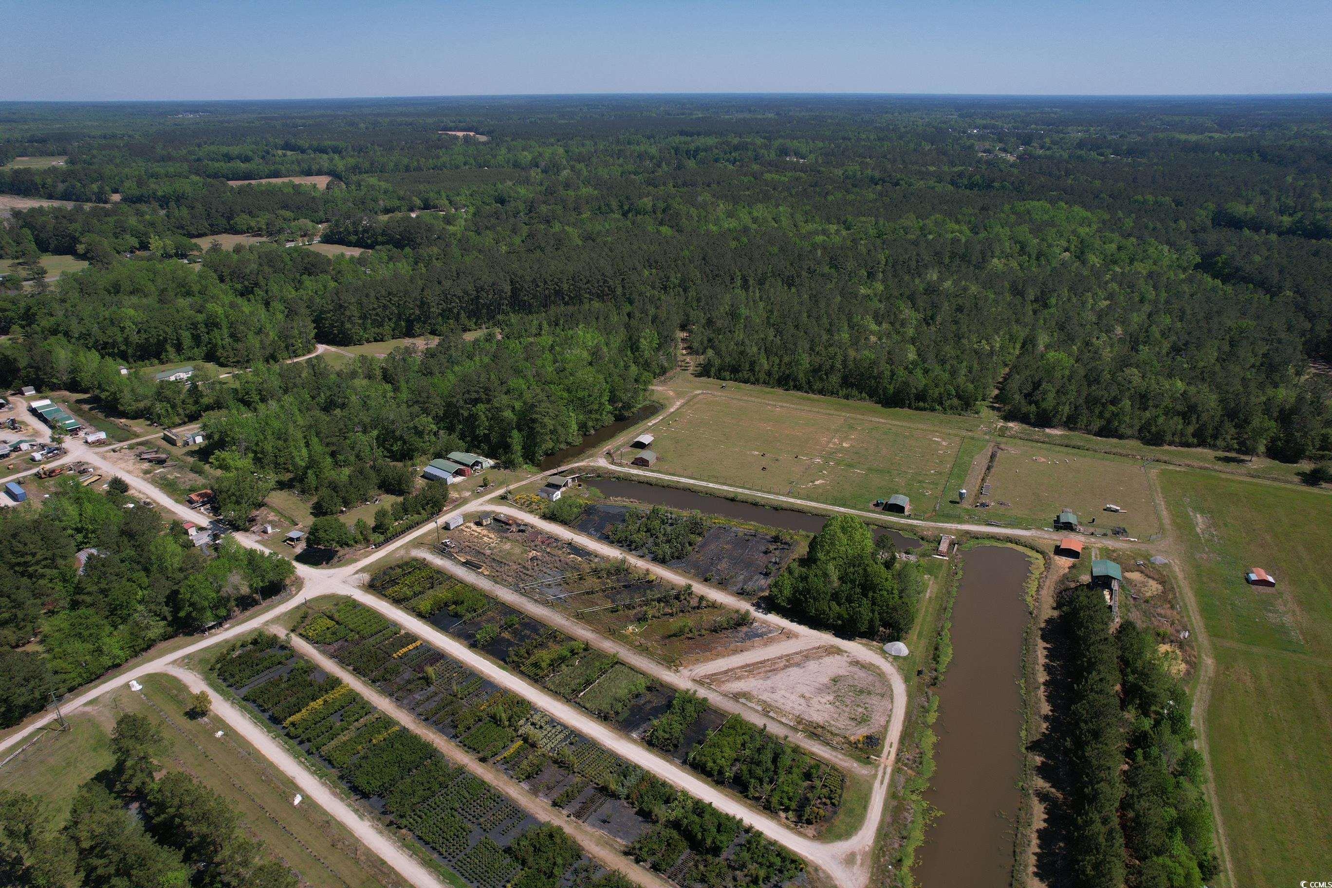 Tbd Cain Wilson Rd. Property Photo 8