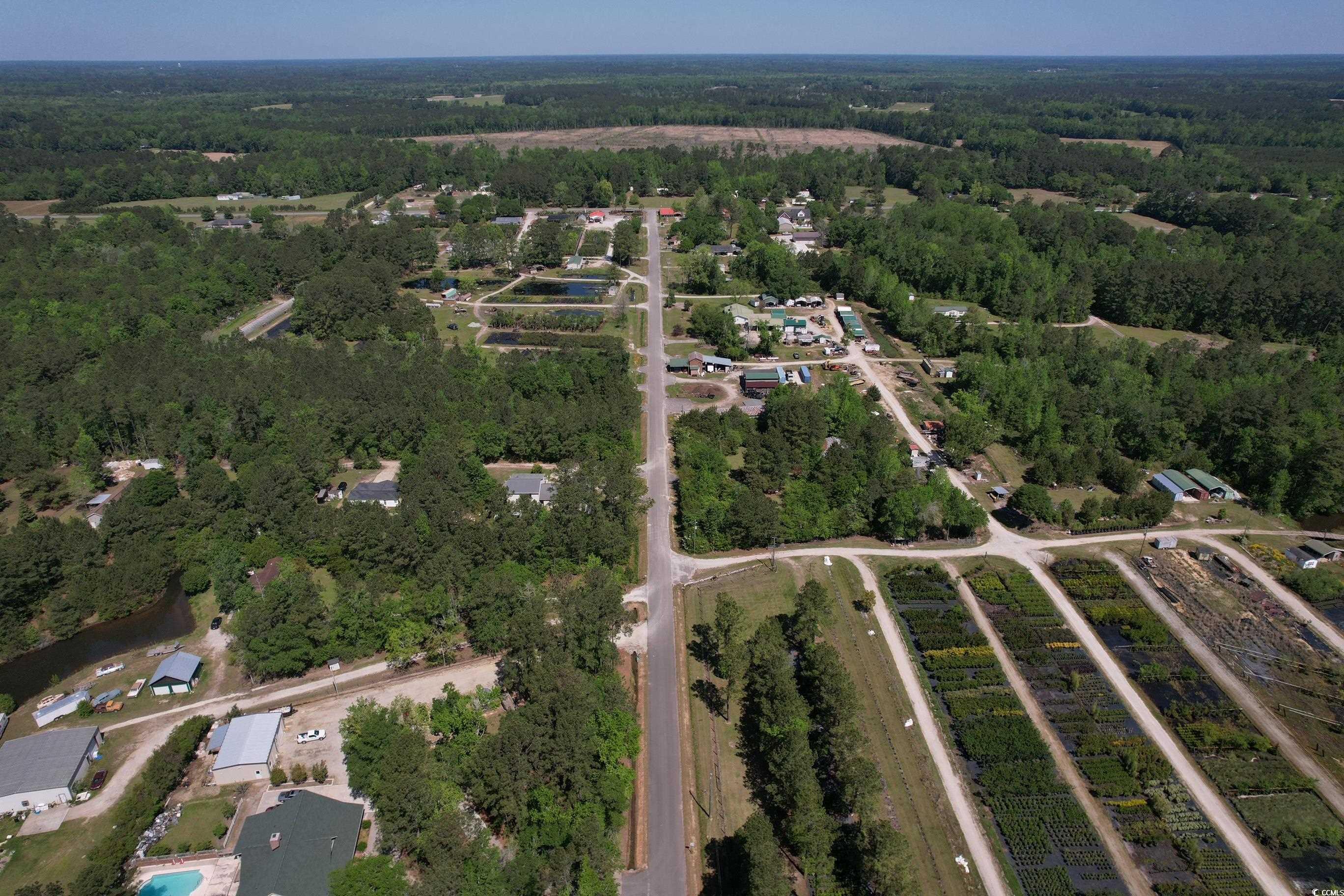 Tbd Cain Wilson Rd. Property Photo 9