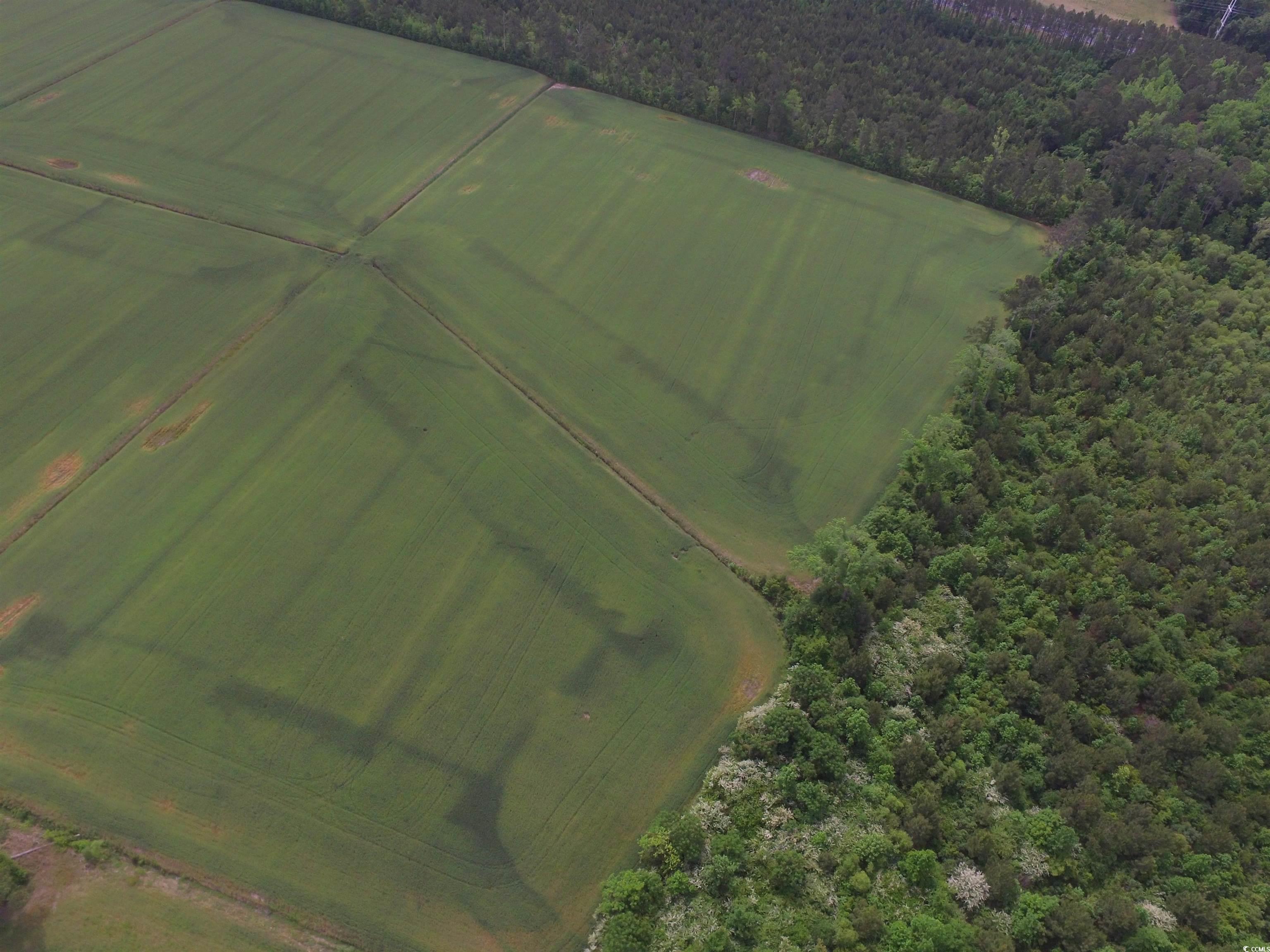 Tbd Fowler Rd. Property Photo 5
