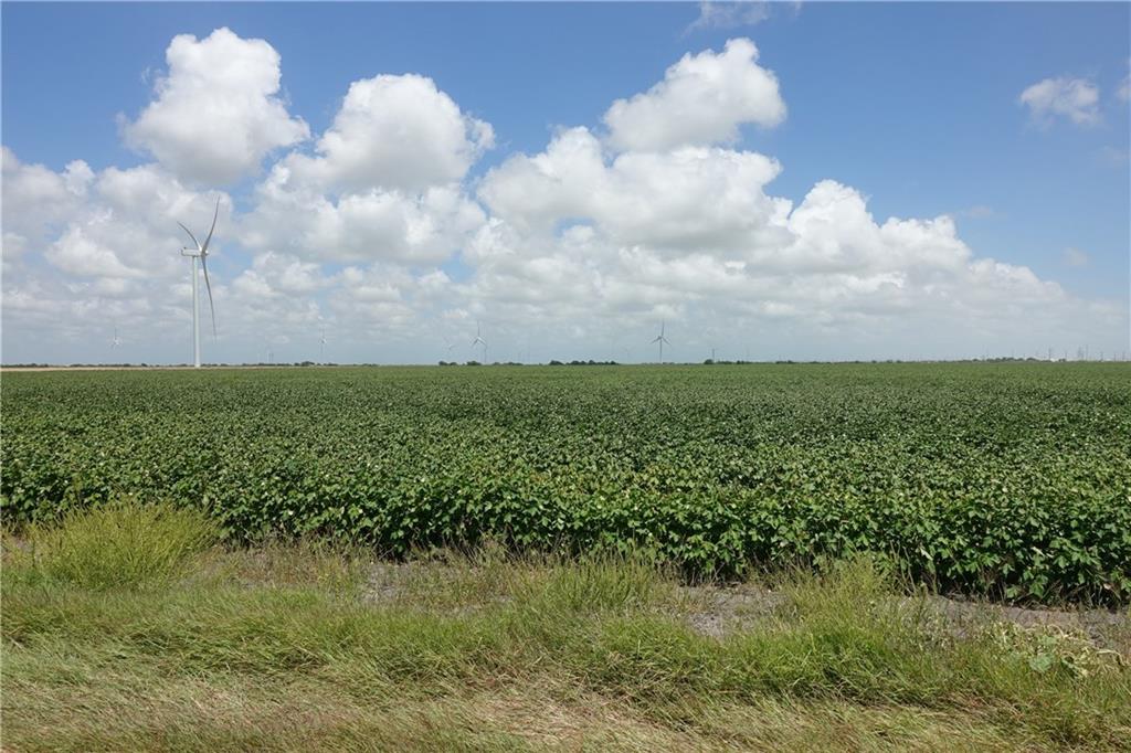 0000 Hwy 181 & County Rd 3677 (east Of Cr 3677) Property Photo 9