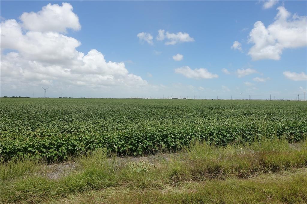 0000 Hwy 181 & County Rd 3677 (east Of Cr 3677) Property Photo 10