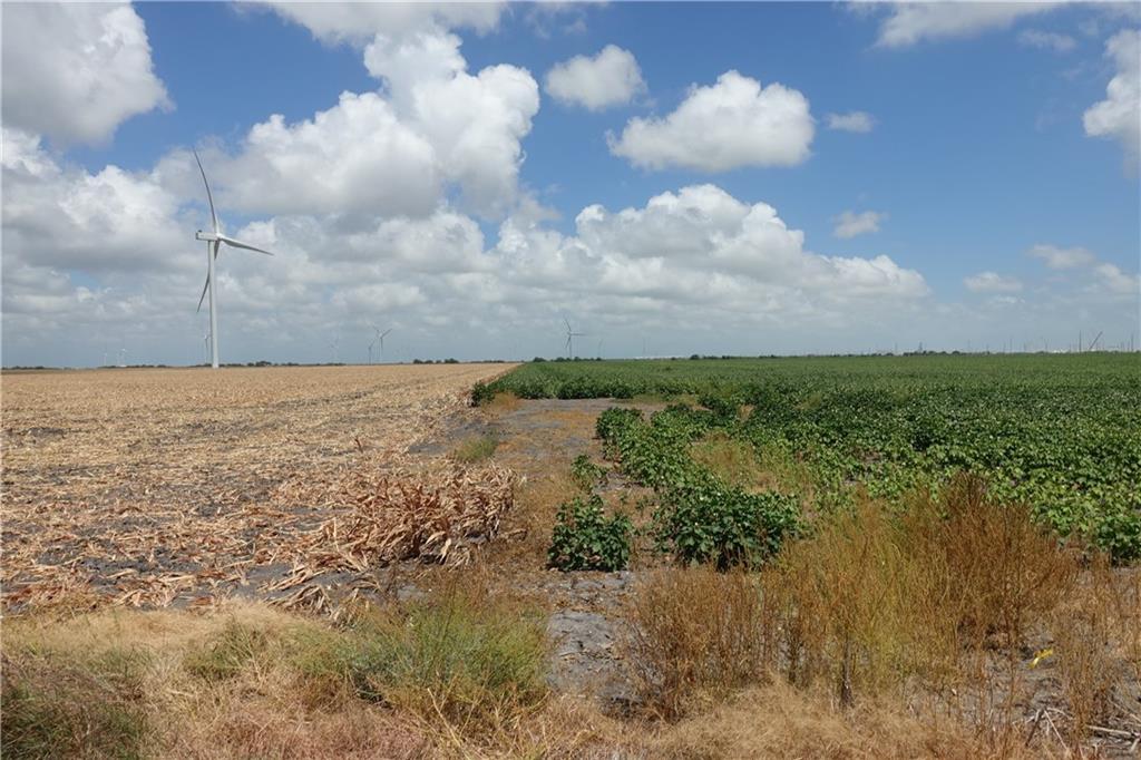 0000 Hwy 181 & County Rd 3677 (east Of Cr 3677) Property Photo 15