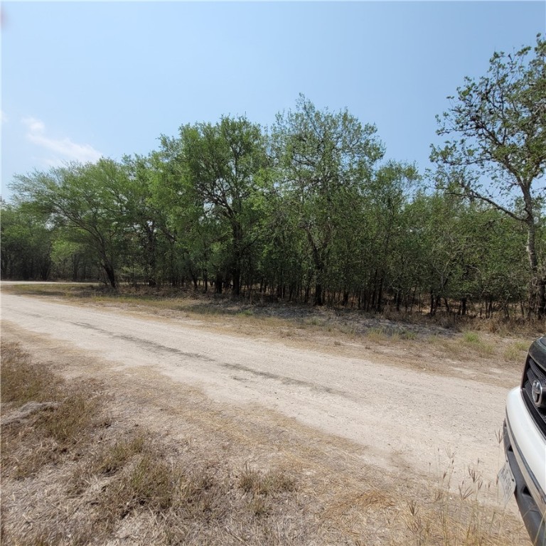 545 W County Road 362 Property Photo 4