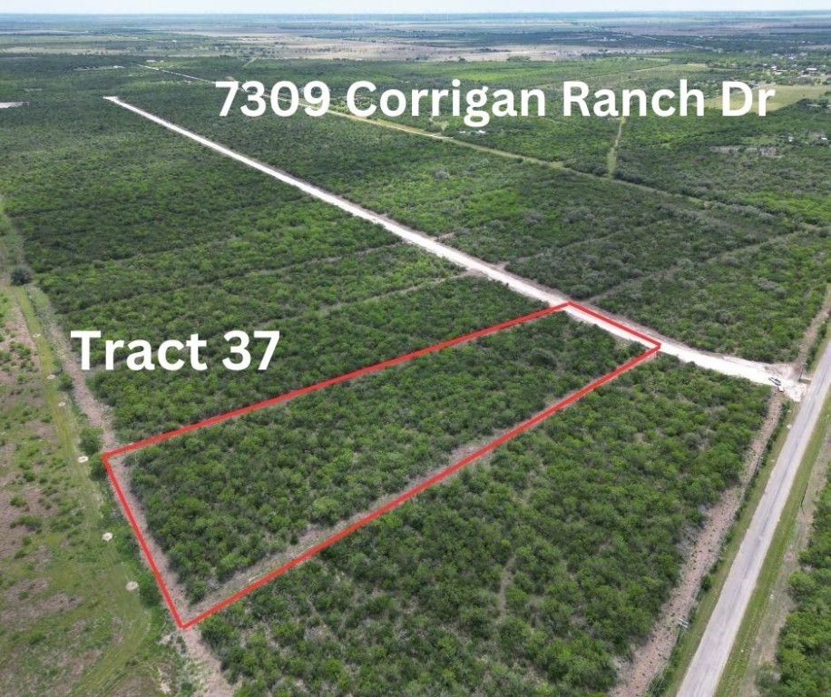 7309 Corrigan Ranch Drive- Tract 37 Property Photo