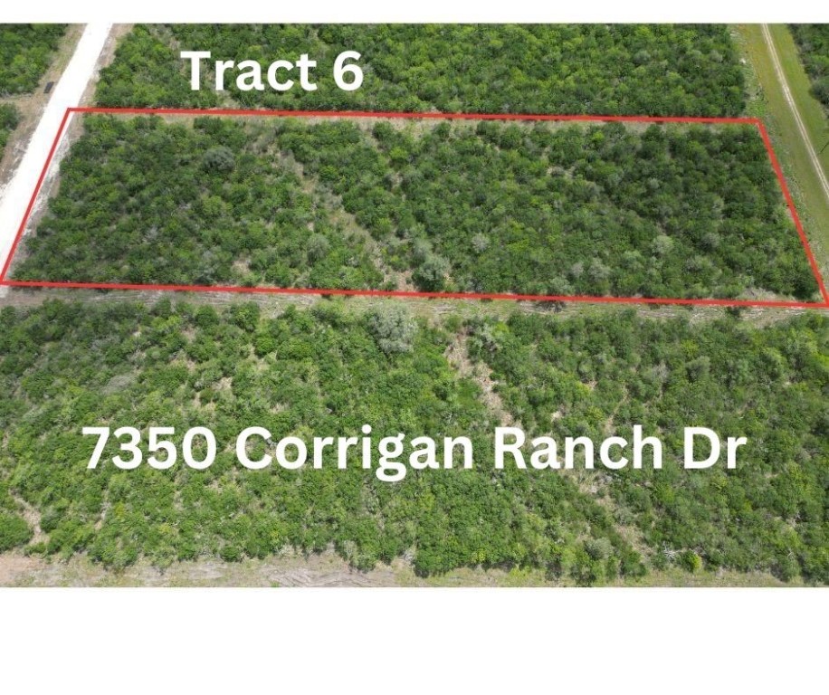 7350 Corrigan Ranch Drive- Tract 6 Property Photo