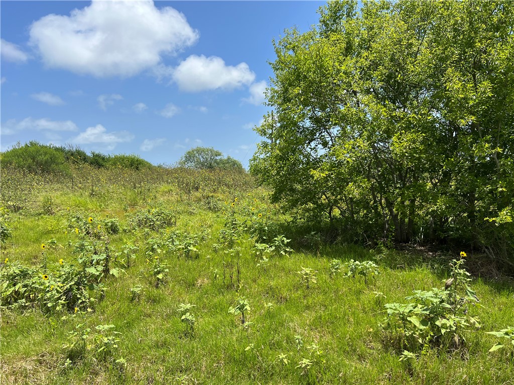 0 Lot 13 Mccullough (tiner) Property Photo