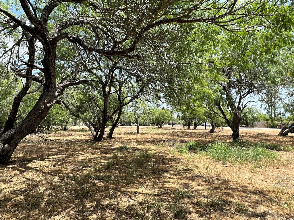 11601 Mallard Property Photo 1