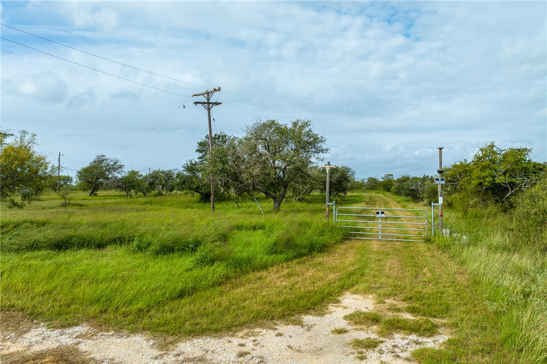 241 King Property Photo 1