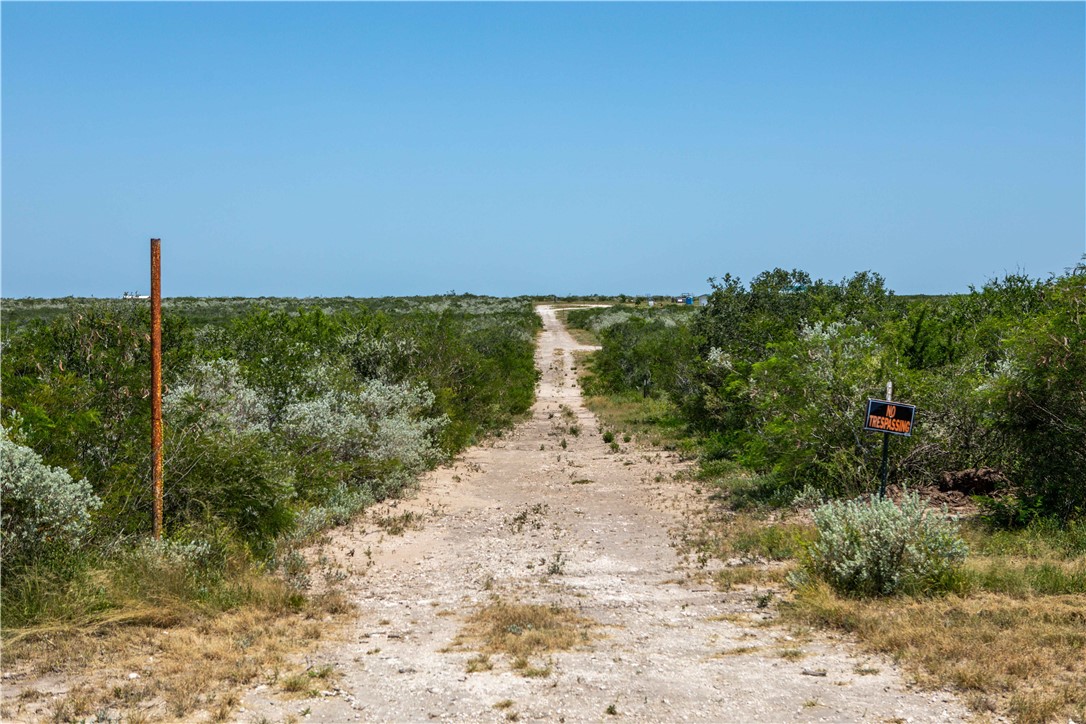 000 Live Oak Spur Property Photo