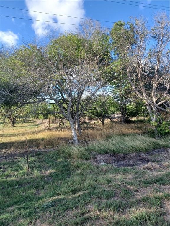 000 County Rd 1360 & Fm 631 Property Photo