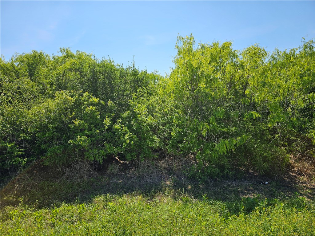 2106 Third St Property Photo