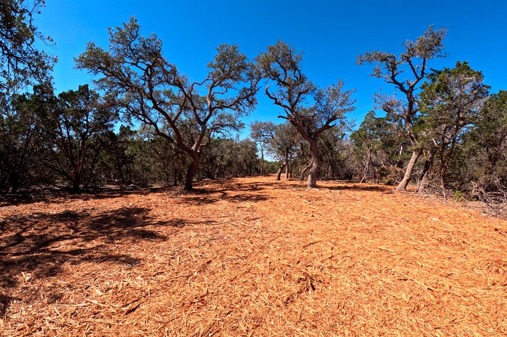 0 Fm 32 Property Photo 16