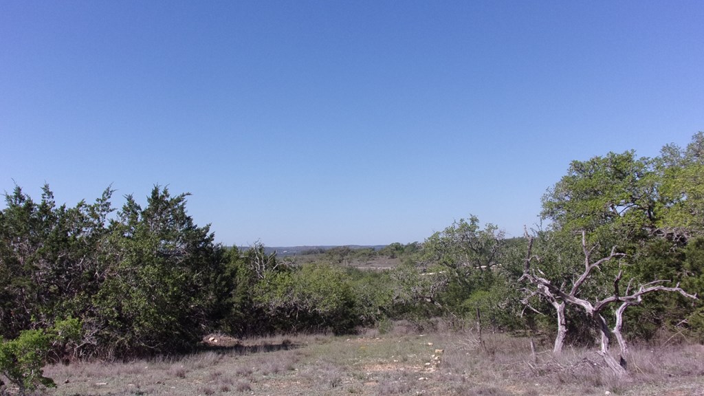 Lot 12 Byrd Ranch Rd # 12 Property Photo 7