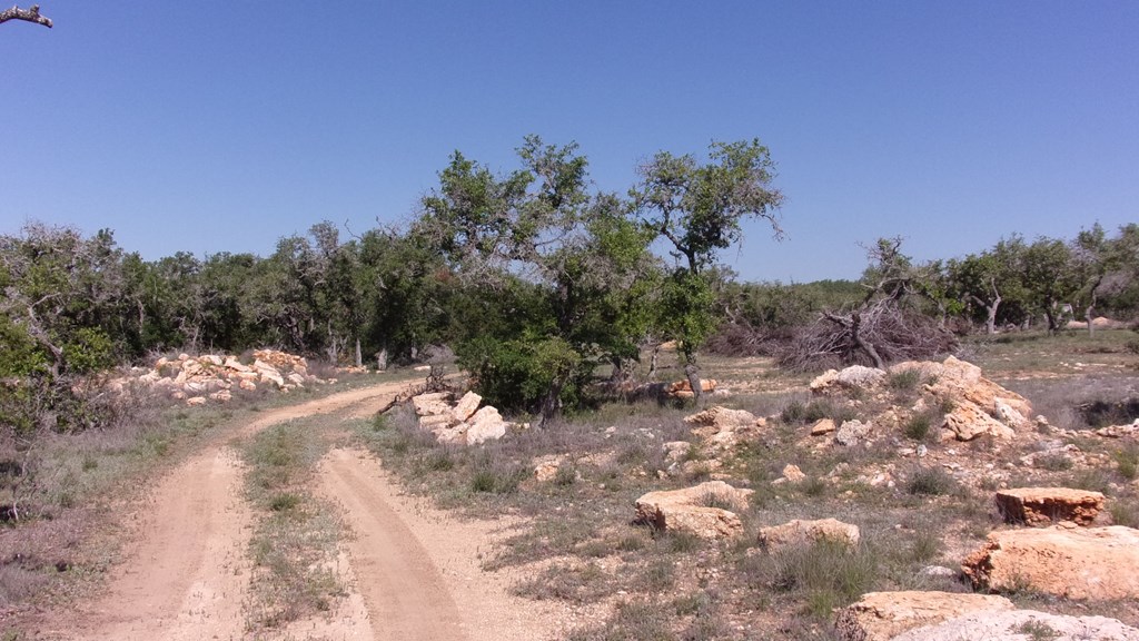 Lot 12 Byrd Ranch Rd # 12 Property Photo 12