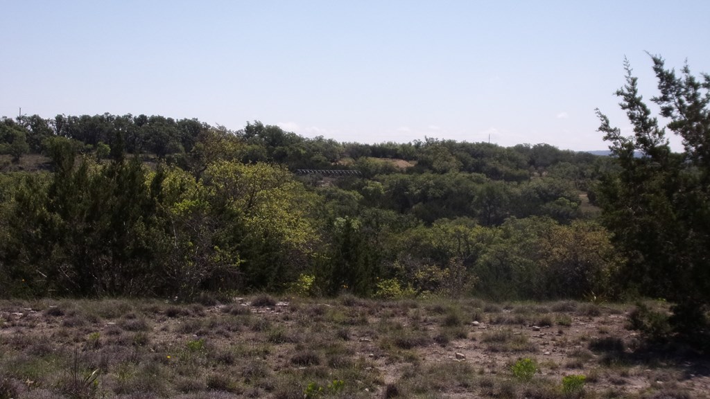 Lot 12 Byrd Ranch Rd # 12 Property Photo 13