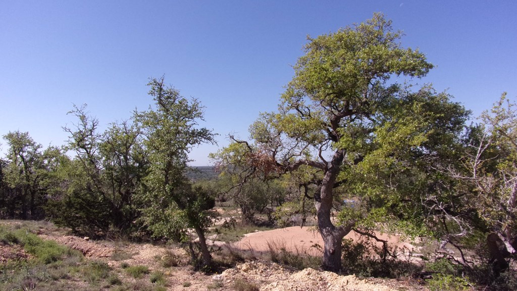 Lot 12 Byrd Ranch Rd # 12 Property Photo 15