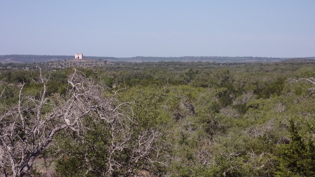 Lot 12 Byrd Ranch Rd # 12 Property Photo 19