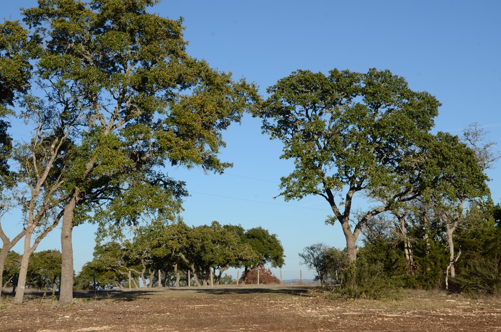 Lot 12 Byrd Ranch Rd # 12 Property Photo 21