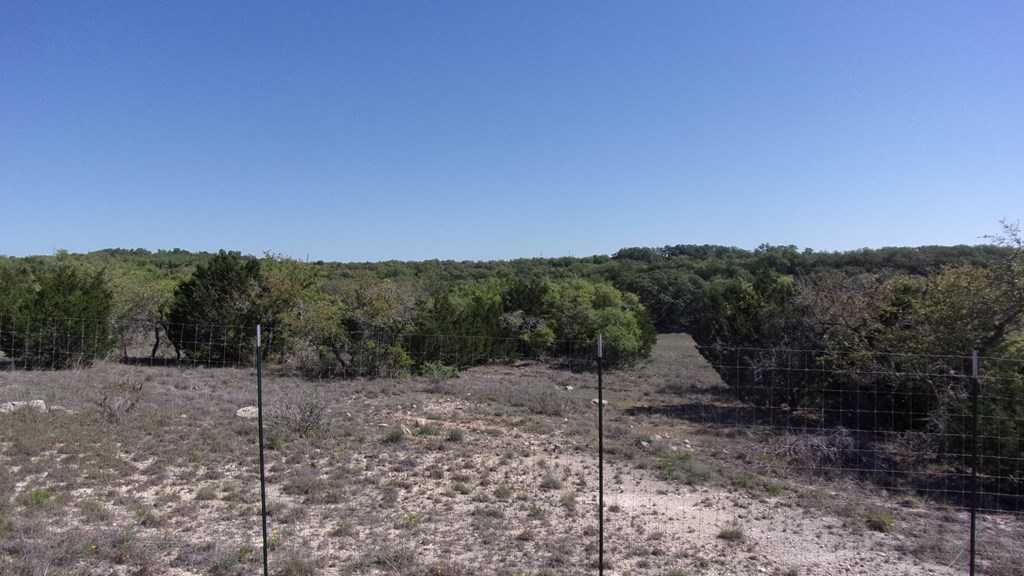 Lot 12 Byrd Ranch Rd # 12 Property Photo 32