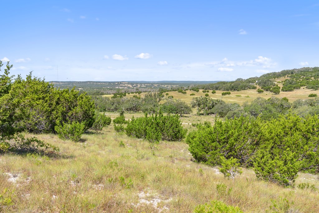 Tract 12 Ranch Rd 1623 # 12 Property Photo 3
