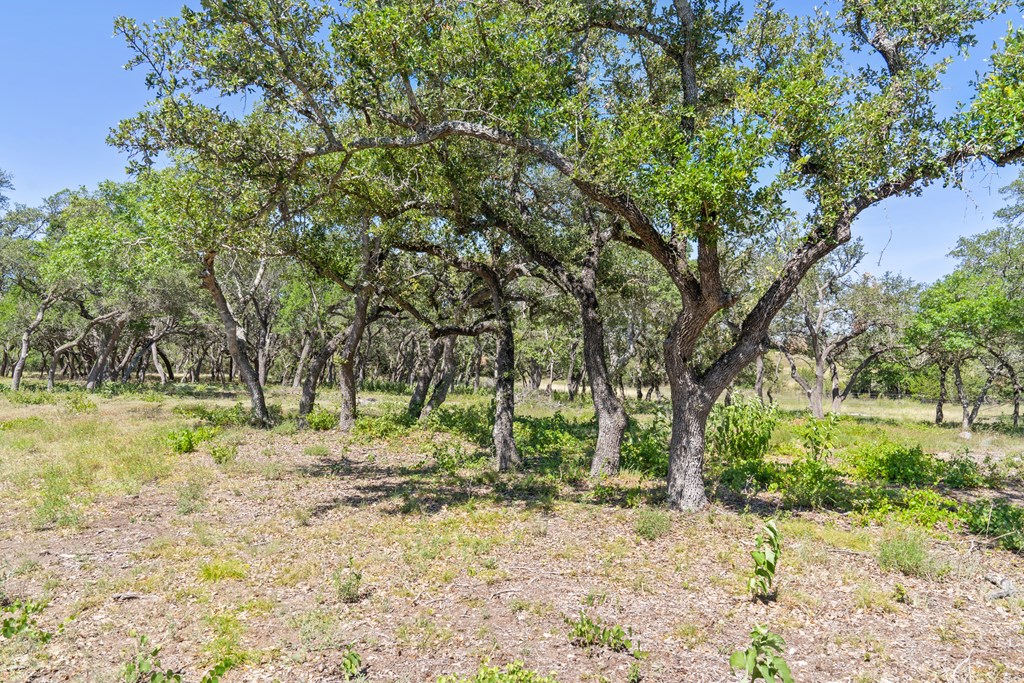 Tract 12 Ranch Rd 1623 # 12 Property Photo 11
