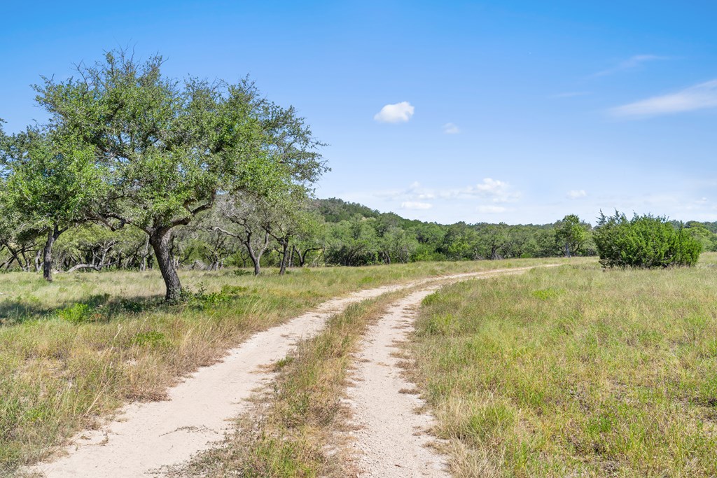 Tract 12 Ranch Rd 1623 # 12 Property Photo 14