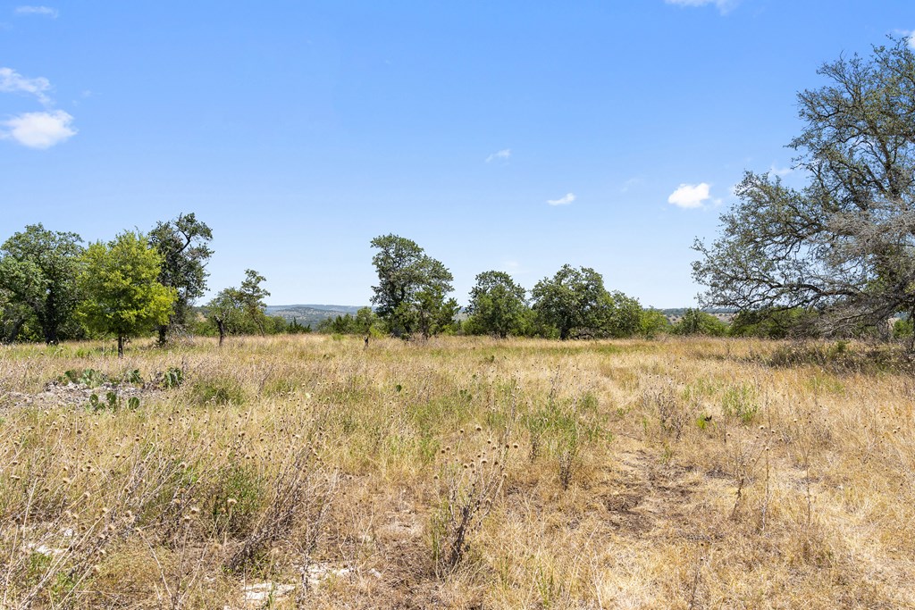 Tract 23 Ranch Rd 1623 # 23 Property Photo 5