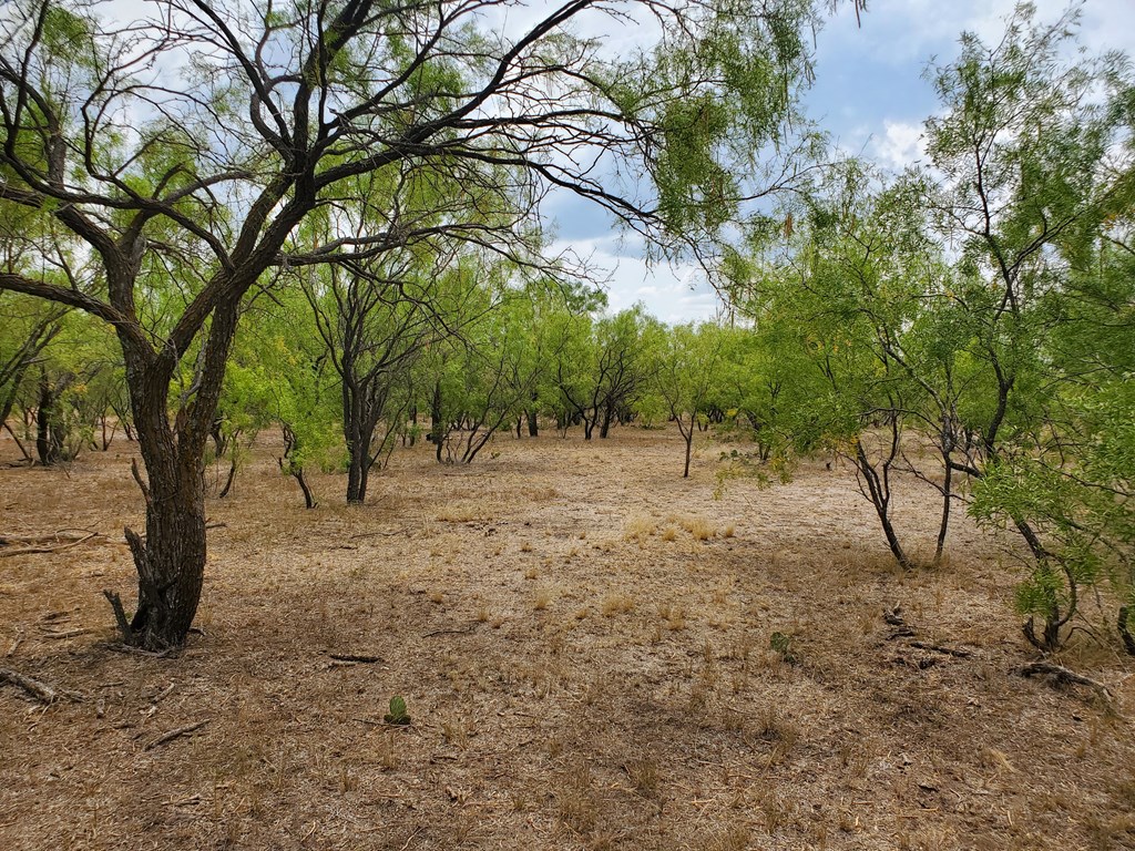 4034 Cave Wells Rd # 14 Property Photo 2
