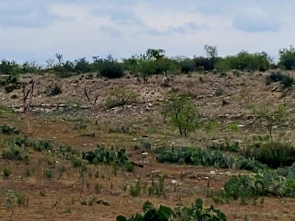 4034 Cave Wells Rd # 14 Property Photo 4