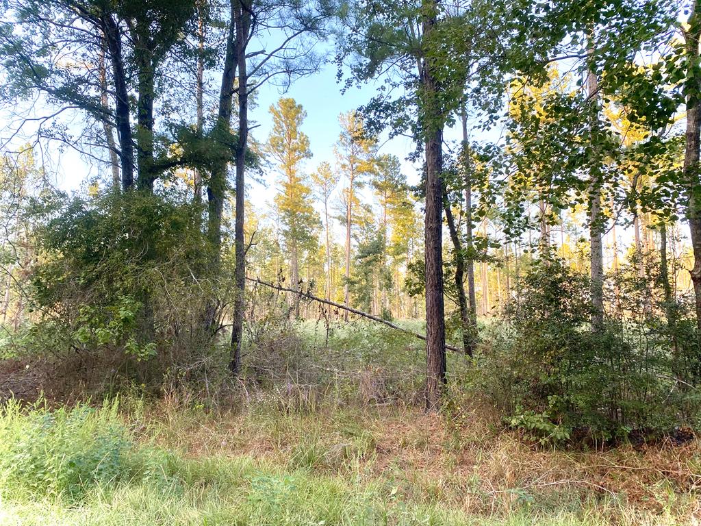 1065 Lot 3 Fm 844 Property Photo