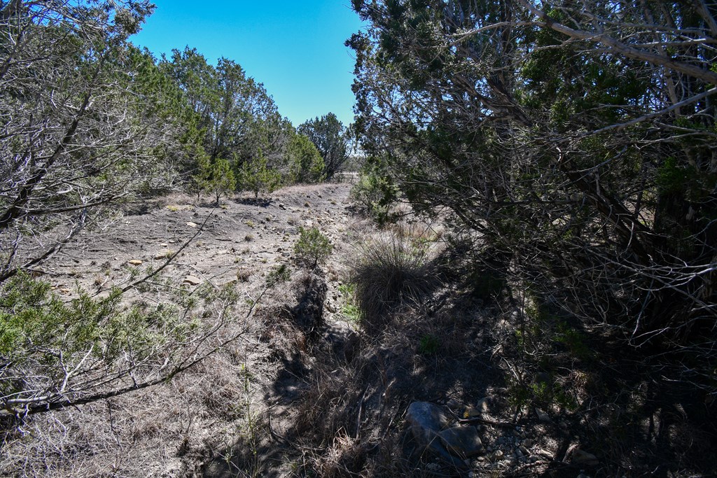 665&699 Cool Creek Rd Property Photo 17