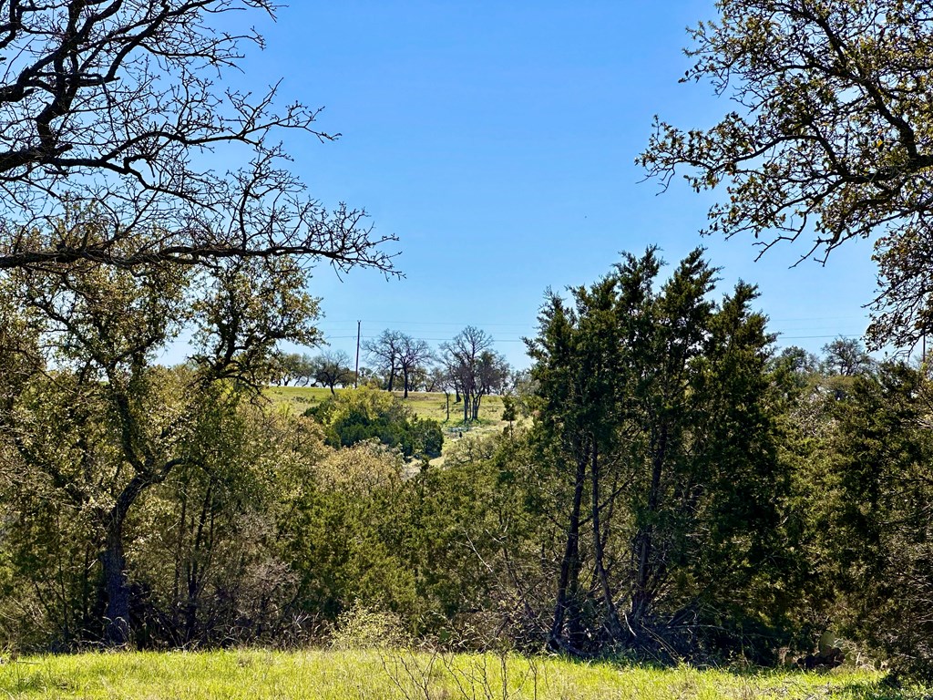 4 S Whitetail Trail # 4 Property Photo 2