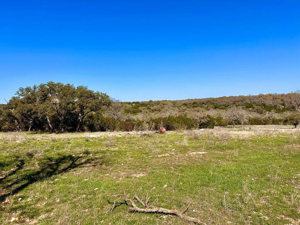 4 S Whitetail Trail # 4 Property Photo 12