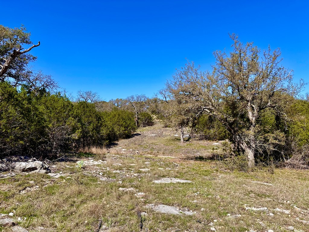 4 S Whitetail Trail # 4 Property Photo 16