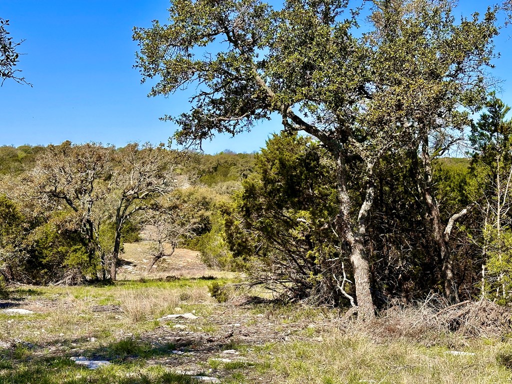 4 S Whitetail Trail # 4 Property Photo 18