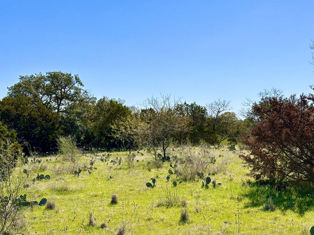 4 S Whitetail Trail # 4 Property Photo 22