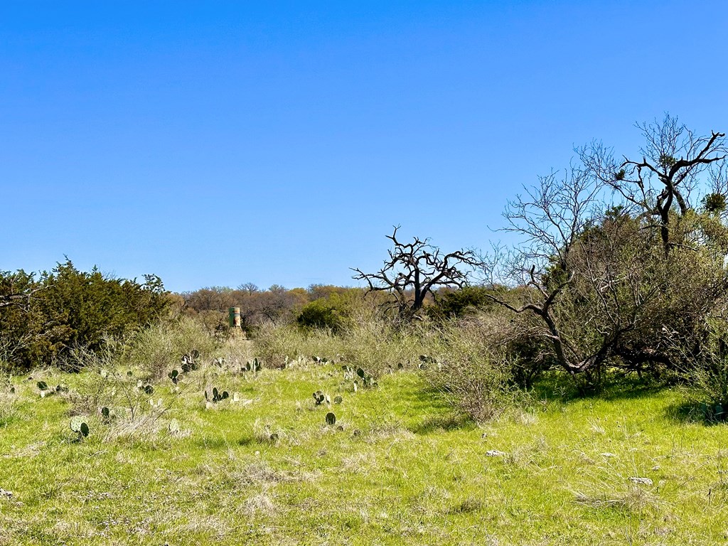 4 S Whitetail Trail # 4 Property Photo 23