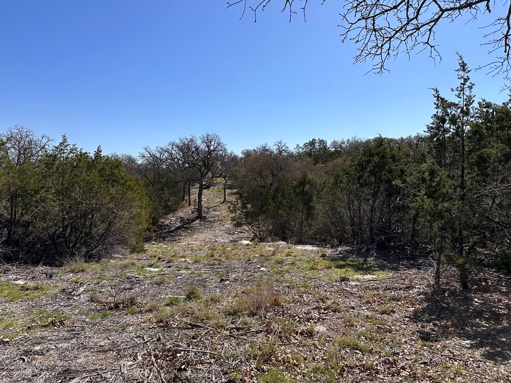 4 S Whitetail Trail # 4 Property Photo 26
