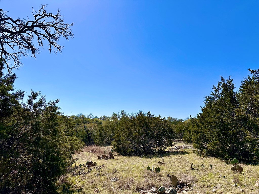 4 S Whitetail Trail # 4 Property Photo 27