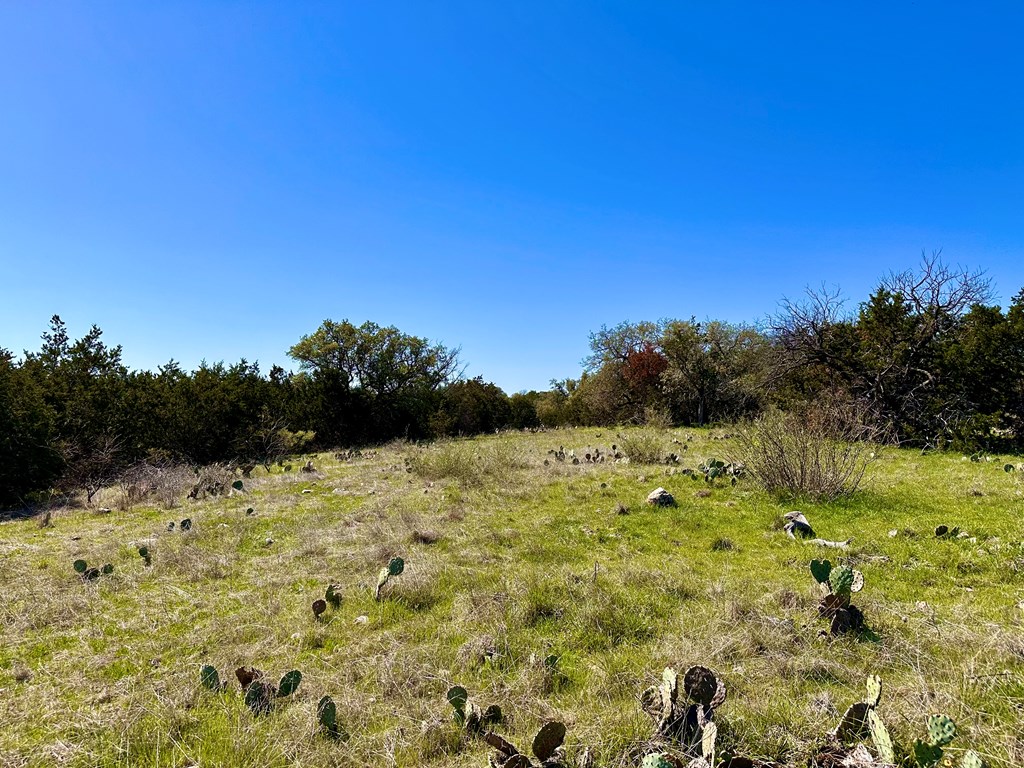 4 S Whitetail Trail # 4 Property Photo 28