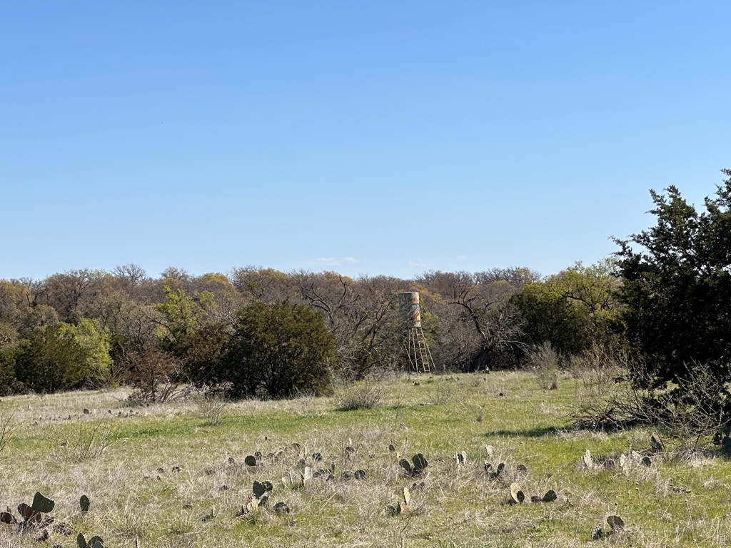 4 S Whitetail Trail # 4 Property Photo 29