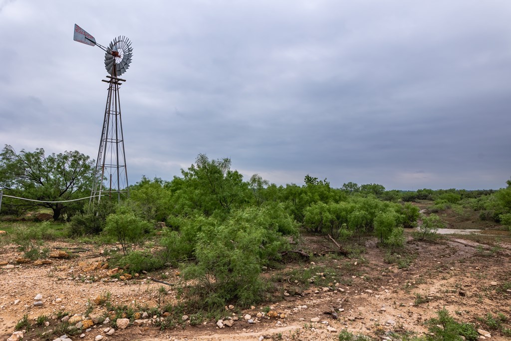 2020 Fm 2635 Property Photo 8